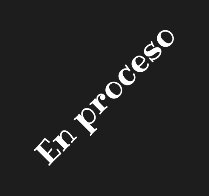 En proceso
